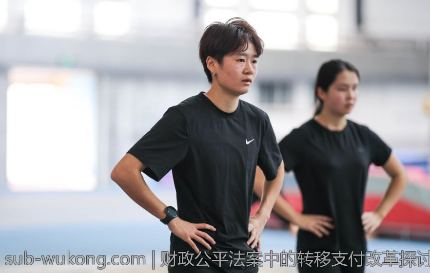 财政公平法案中的转移支付改革探讨